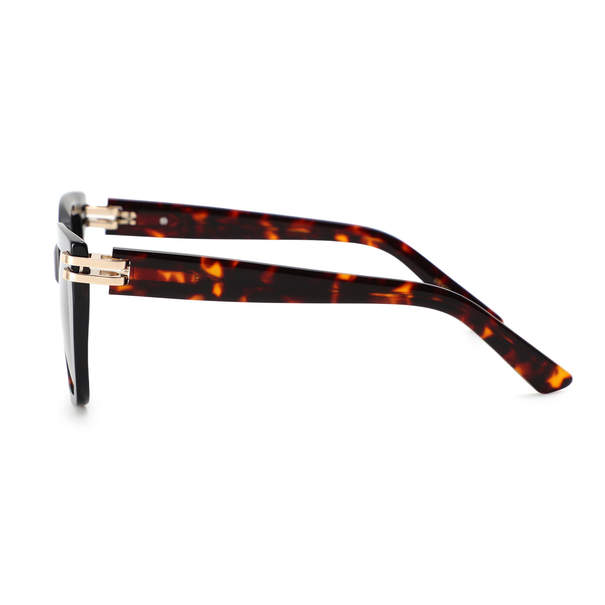 Paloma - Tortoise - Smoke Lens - Polarized